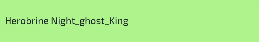 Herobrine Night_ghost_King
